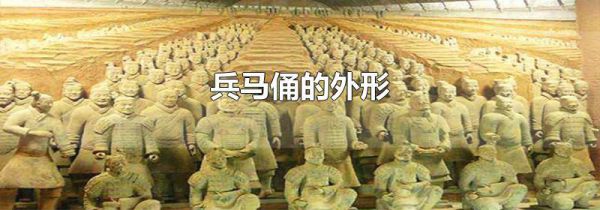 兵马俑的外形