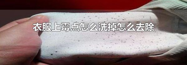 衣服上霉点怎么洗掉怎么去除