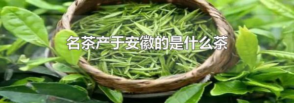 名茶产于安徽的是什么茶