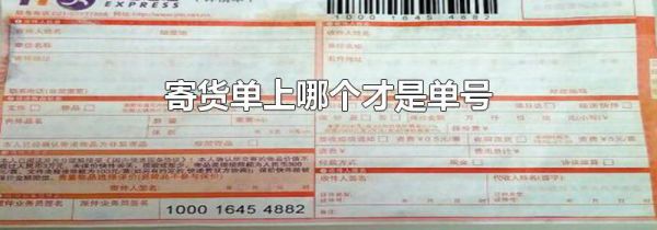 寄货单上哪个才是单号