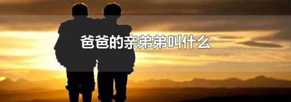 爸爸的亲弟弟叫什么
