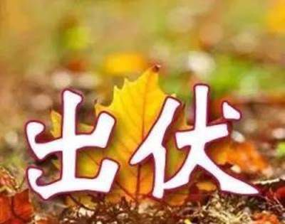 2021年出伏天是哪一天？