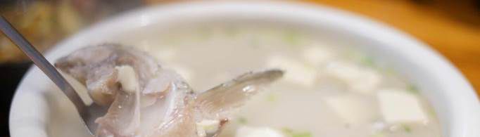 下奶汤有哪些食物最有效？