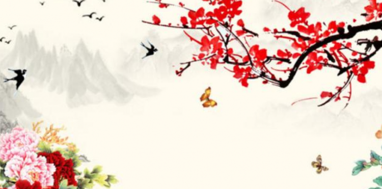中国国花是什么花
