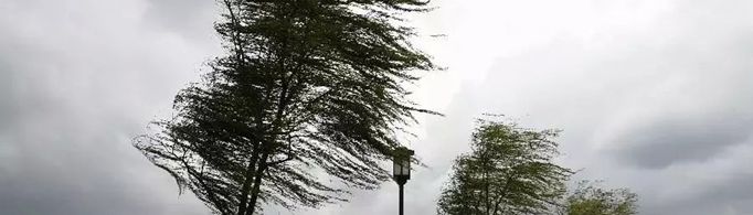 12级风力有多大？