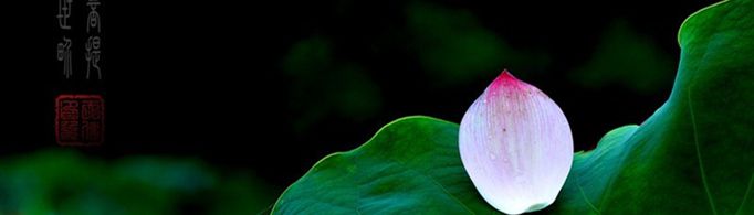 一花一世界一叶一菩提是什么意思？