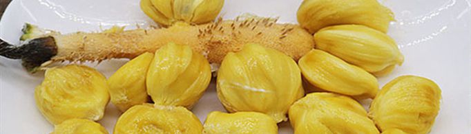 榴莲蜜和菠萝蜜的区别是什么？