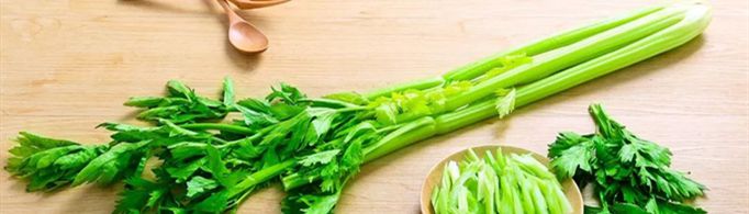 三伏天吃什么食物最好？
