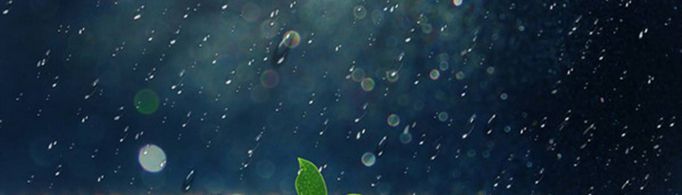 入伏下雨有什么说法？