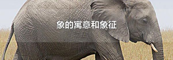 象的寓意和象征