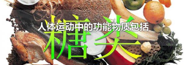 人体运动中的功能物质包括