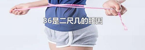 36是二尺几的腰围