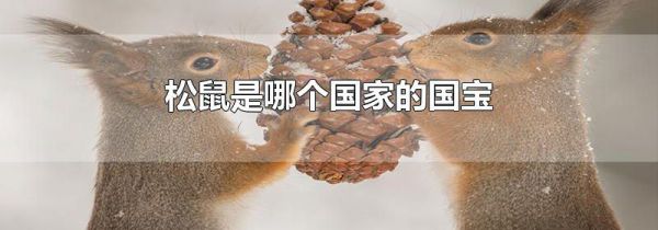 松鼠是哪个国家的国宝