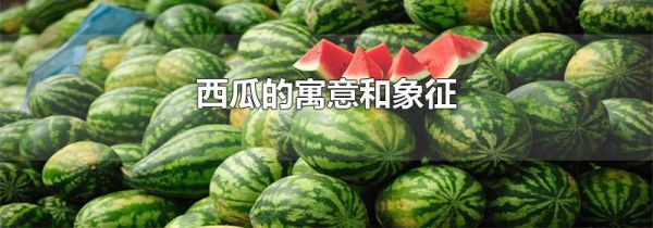 西瓜的寓意和象征