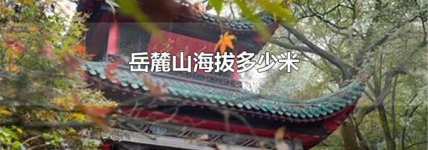 岳麓山海拔多少米