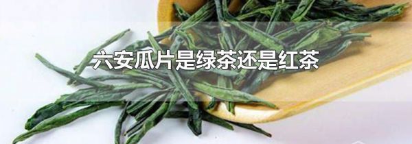 六安瓜片是绿茶还是红茶