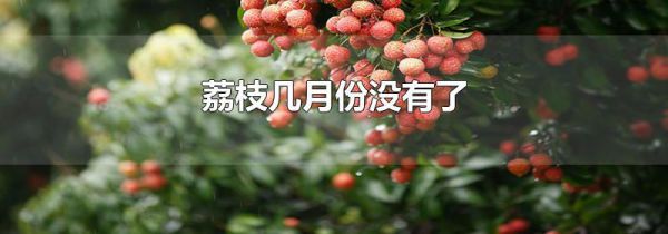 荔枝几月份没有了