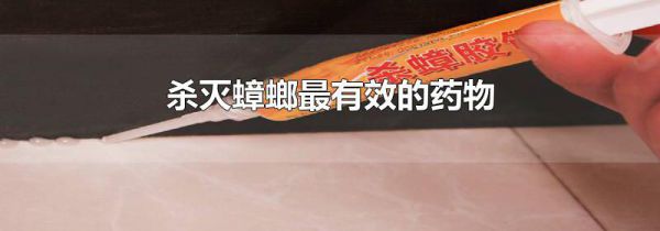 杀灭蟑螂最有效的药物