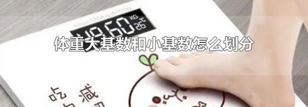 体重大基数和小基数怎么划分