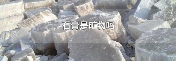 石膏是矿物吗