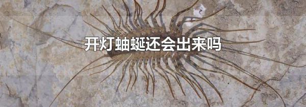 开灯蚰蜒还会出来吗