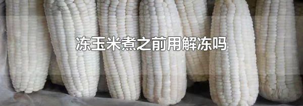 冻玉米煮之前用解冻吗