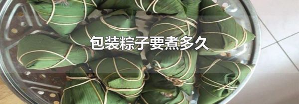 包装粽子要煮多久