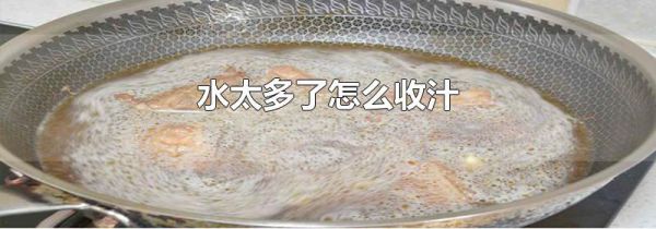 水太多了怎么收汁