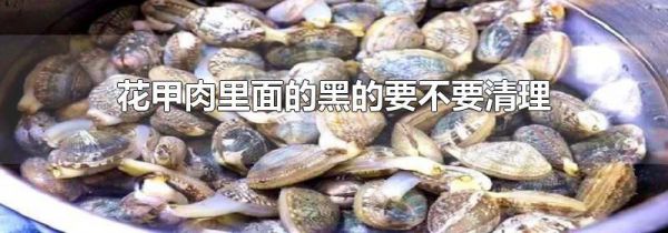 花甲肉里面的黑的要不要清理