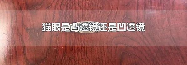 猫眼是凸透镜还是凹透镜