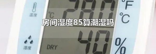 房间湿度85算潮湿吗