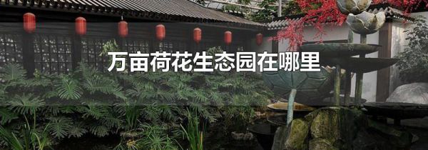 万亩荷花生态园在哪里