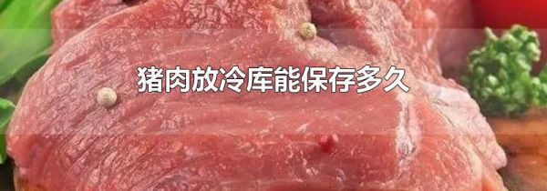 猪肉放冷库能保存多久