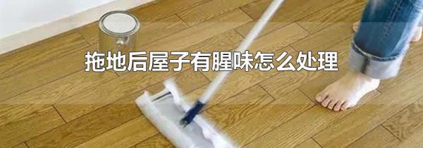 拖地后屋子有腥味怎么处理