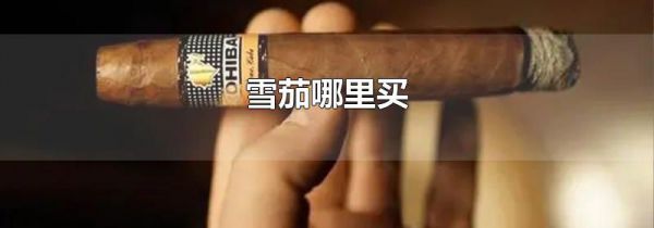 雪茄哪里买
