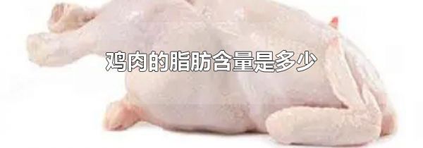 鸡肉的脂肪含量是多少