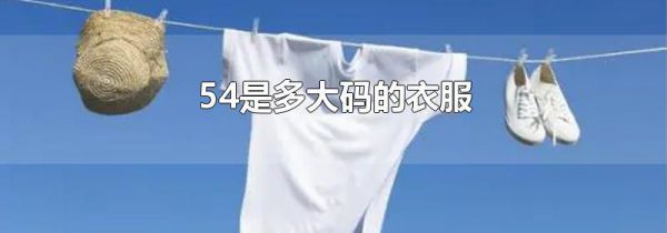54是多大码的衣服