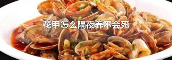 花甲怎么隔夜养不会死