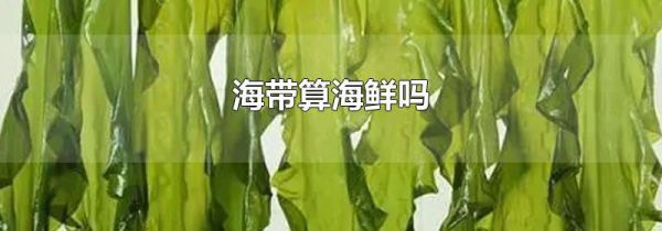 海带算海鲜吗