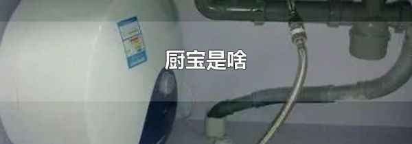 厨宝是啥