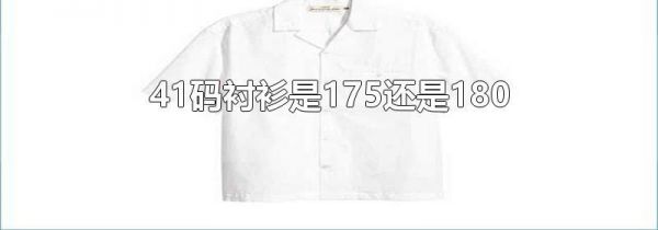41码衬衫是175还是180