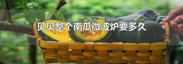 贝贝整个南瓜微波炉要多久
