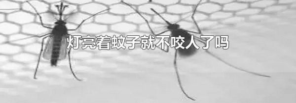 灯亮着蚊子就不咬人了吗