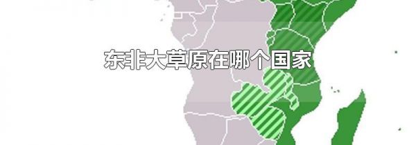 东非大草原在哪个国家