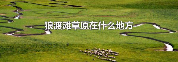 狼渡滩草原在什么地方