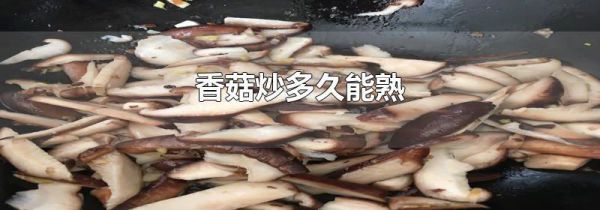 香菇炒多久能熟