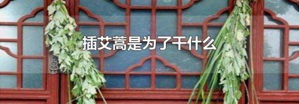 插艾蒿是为了干什么