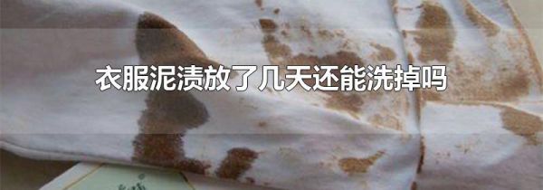 衣服泥渍放了几天还能洗掉吗