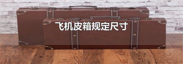 飞机皮箱规定尺寸