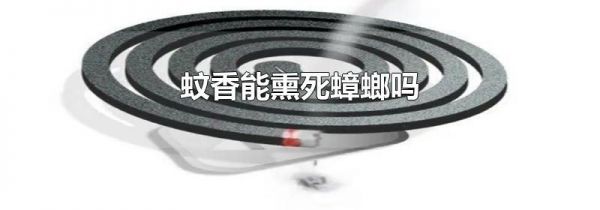 蚊香能熏死蟑螂吗
